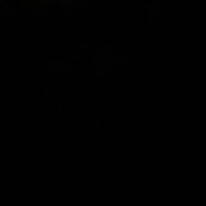 Meet your Posher, Gordon